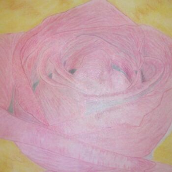 Рисунок под названием "Rose" - André Julien, Подлинное произведение искусства, Карандаш