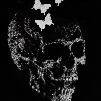 「glass skull」というタイトルの彫刻 André Marotによって, オリジナルのアートワーク, ガラス ウッドパネルにマウント