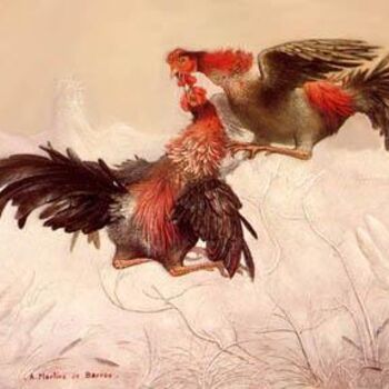 Peinture intitulée "combat de coqs" par André Martins De Barros, Œuvre d'art originale, Autre