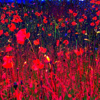 Φωτογραφία με τίτλο "Flowers" από Andrea Meister, Αυθεντικά έργα τέχνης, Ψηφιακή φωτογραφία