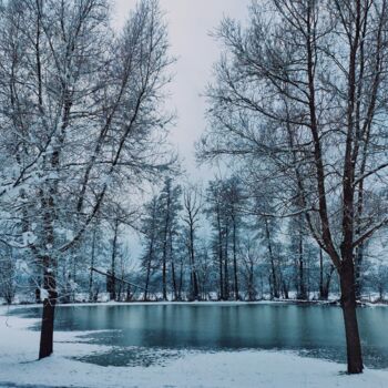 Φωτογραφία με τίτλο "Winterlandschaft" από Andrea Meister, Αυθεντικά έργα τέχνης, Ψηφιακή φωτογραφία