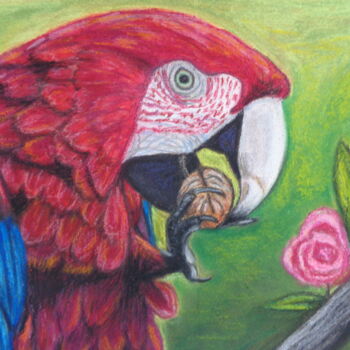 Painting titled "Red beauty" by Andrea Napolitano, Original Artwork, Pastel