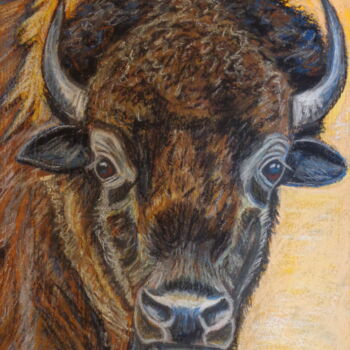 Painting titled "Buffalo spring pain…" by Andrea Napolitano, Original Artwork, Pastel