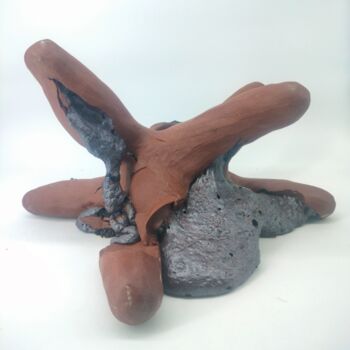Sculpture intitulée "Exploded star" par Andrea Viviani, Œuvre d'art originale, Argile