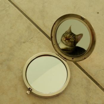 Photography titled "Purrfect reflection" by Andreea Todor, Original Artwork, Digital Photography
