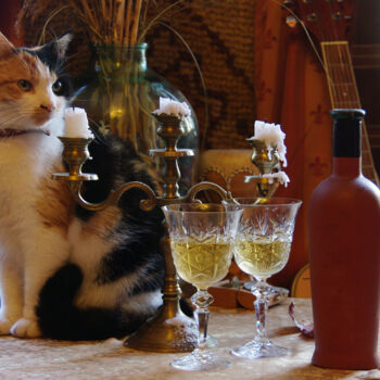 Photography titled "Cat and two glasses" by Andrei Autumn, Original Artwork, Digital Photography