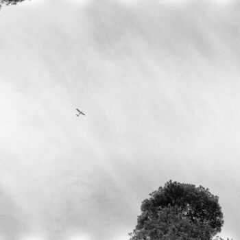 Фотография под названием "Полёт" - Andreï Barinoff, Подлинное произведение искусства, Пленочная фотография