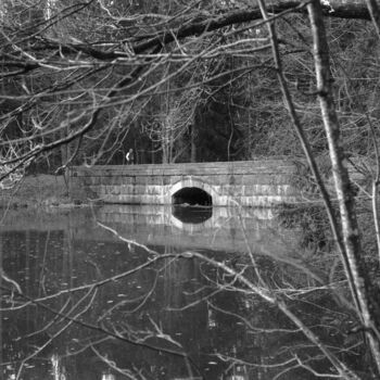 Fotografía titulada "Pont de pierre" por Andreï Barinoff, Obra de arte original, Fotografía analógica