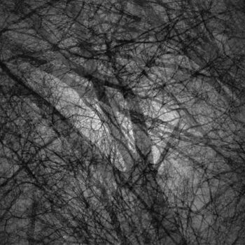 Photography titled "Branches" by Andreï Barinoff, Original Artwork, Analog photography