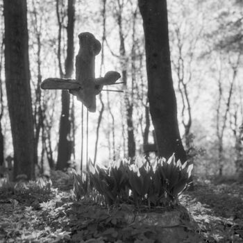 摄影 标题为“Humble cimetière” 由Andreï Barinoff, 原创艺术品, 电影摄影