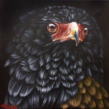 Malerei mit dem Titel "Bateleur eagle" von Andrei Doru, Original-Kunstwerk, Acryl