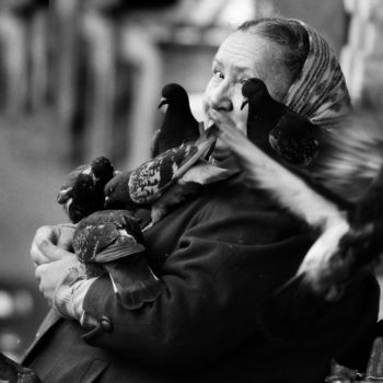 Fotografia zatytułowany „Любовь и голуби” autorstwa Andrey Petrosyan, Oryginalna praca, Fotografia cyfrowa