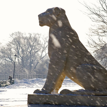 Photographie intitulée "Снежный лев" par Andrey Petrosyan, Œuvre d'art originale, Photographie numérique