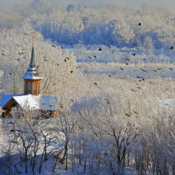 Photography titled "Мороз и солнце" by Andrey Petrosyan, Original Artwork, Digital Photography
