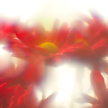 Photographie intitulée "Солнечные цветы" par Andrey Petrosyan, Œuvre d'art originale, Photographie numérique
