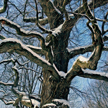 Фотография под названием "Зима" - Andrey Petrosyan, Подлинное произведение искусства, Манипулированная фотография