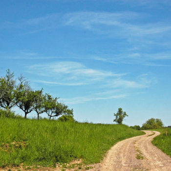 Photography titled "Le Chemin commence…" by André Martin, Original Artwork, Non Manipulated Photography