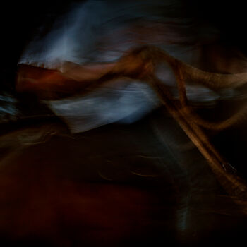 Photography titled "DRESSAGE ENERGY III" by Andres Galan, Original Artwork, Light Painting