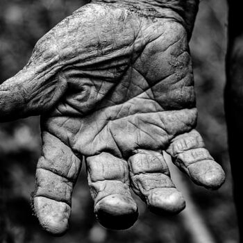 Photography titled "WORK GLOVE" by Andres Galan, Original Artwork, Digital Photography