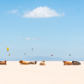 Fotografia zatytułowany „COWS AND KITES” autorstwa Andrew Lever, Oryginalna praca, Fotografia cyfrowa