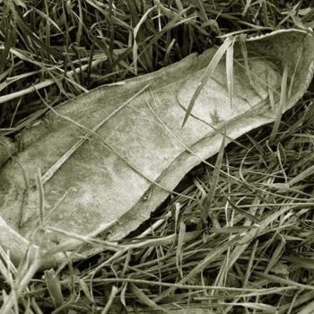 Fotografia zatytułowany „Shoe sole (scrapyer…” autorstwa Andrew Dokoupil, Oryginalna praca