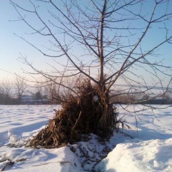 Фотография под названием "Зимние красоты." - Andrey Balabuha, Подлинное произведение искусства