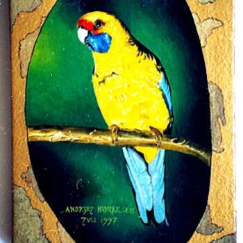 Painting titled "Parrot 1" by Andrzej Huniak, Original Artwork
