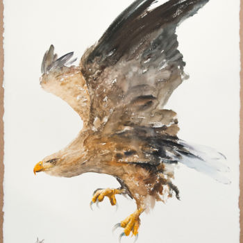 Painting titled "White-tailed Eagle…" by Andrzej Rabiega, Original Artwork, Watercolor