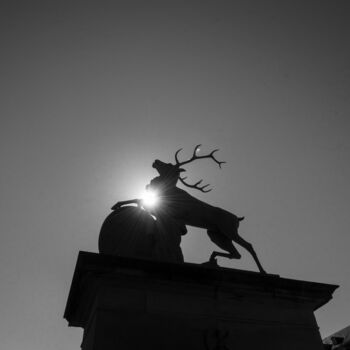 Fotografia intitolato "Roaring Deer" da Andy Ridder, Opera d'arte originale, Fotografia digitale
