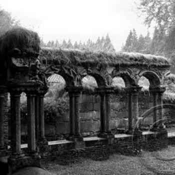 Φωτογραφία με τίτλο "Ruins" από Anette Boudreau, Αυθεντικά έργα τέχνης