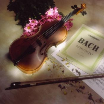 Photography titled "violino" by Angela Bruno, Original Artwork