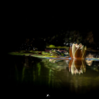 Fotografía titulada "La grenouille" por Angèle Marani, Obra de arte original, Fotografía digital