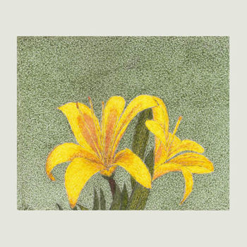 Dessin intitulée "Flores no campo" par Angelica Trompieri, Œuvre d'art originale, Encre