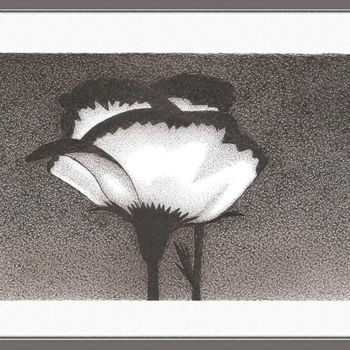 Σχέδιο με τίτλο "Flor em branco e pr…" από Angelica Trompieri, Αυθεντικά έργα τέχνης, Μελάνι