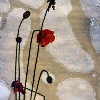 Photographie intitulée "Yl fiore spezzato" par Angelo Mazzoleni, Œuvre d'art originale