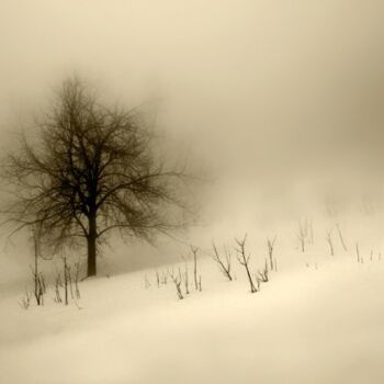 Fotografia intitolato "Oltre la nebbia" da Angelo Mazzoleni, Opera d'arte originale