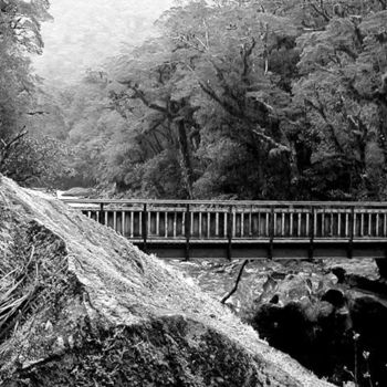 Фотография под названием "Bridge - New Zealand" - Angelo Di Pietrantonio, Подлинное произведение искусства