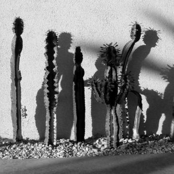 Photographie intitulée "Cactus Walk" par Angelo Di Pietrantonio, Œuvre d'art originale