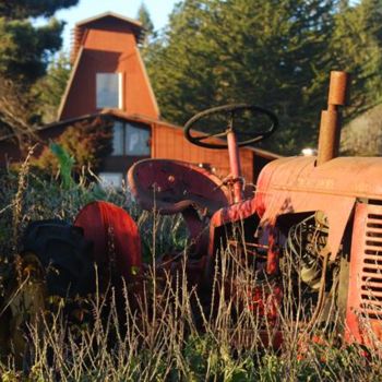 Фотография под названием "Mendo Tractor" - Angelo Di Pietrantonio, Подлинное произведение искусства