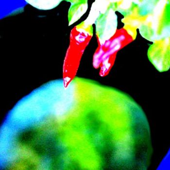 数字艺术 标题为“Chilli Coloured” 由Angus Macpherson, 原创艺术品