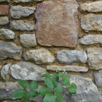 Fotografía titulada "mur en pierre" por Angusine, Obra de arte original, Fotografía digital