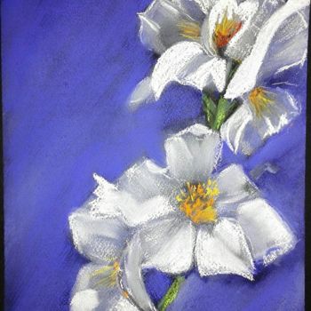 Painting titled "Blüten / Flowers" by Aniko Trombitasne Varju, Original Artwork, Pastel