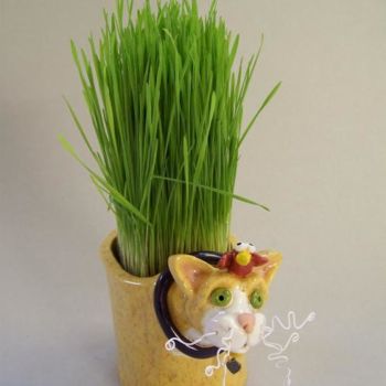 Sculpture titled "Yellow Cat Grass Va…" by Suzanne Noll, Original Artwork, Other
