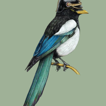Drawing titled "Yellow-billed magpie" by Mikhail Vedernikov, Original Artwork, Pastel