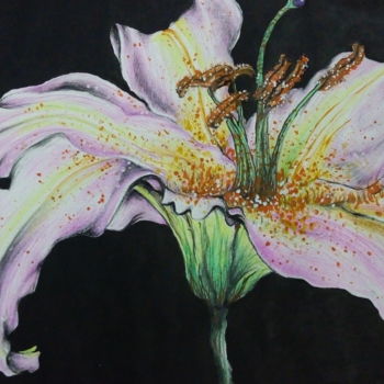Drawing titled "Blossoms Pride" by Anindita Mandal, Original Artwork