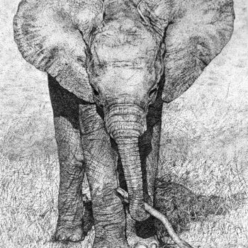 Drawing titled "Elefantenbaby I Ele…" by Anja Semling, Original Artwork, Ink Mounted on Glass