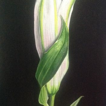 Pintura titulada "white beauty" por Anjana Kothari, Obra de arte original, Acrílico