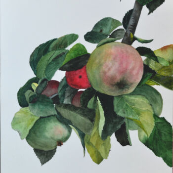 Картина под названием "Яблоко в саду" - Анна Баранова, Подлинное произведение искусства, Акварель