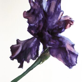 Malerei mit dem Titel "Violet Iris" von Anna Brazhnikova, Original-Kunstwerk, Aquarell