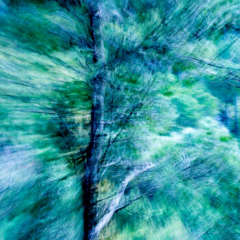 Photographie intitulée "Il bosco di Casabol…" par Anna Fici, Œuvre d'art originale, Photographie numérique